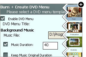 Burn Video to DVD/Blu-ray Disc