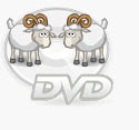 dvd cloner, dvd ripper, copy dvd to dvd