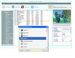 DVD pour iPod, DVD en MP4, DVD en AVI