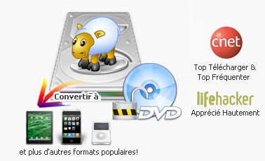 Any DVD Cloner Platinum