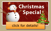 Christmas Special Offer