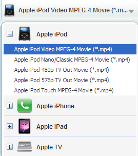 Hulu Video Converter