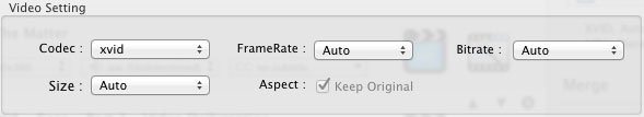 video settings of target video
