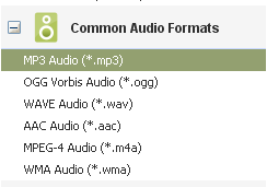 WebM Output Profile