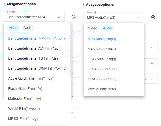 Video- und Audioformat