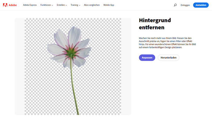 Bild mit Adobe Express bearbeiten