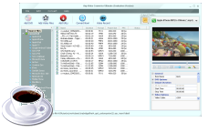iPod video management, MP4 converter