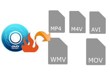 Burn Desired Videos to DVD Discs