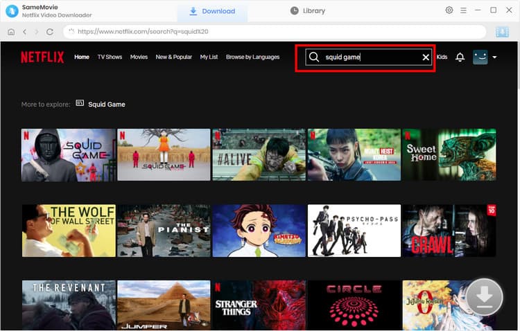 Netflix Web Player