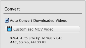 auto convert downloaded video
