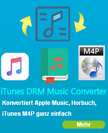 mp3 und mp4 zusammenfьgen