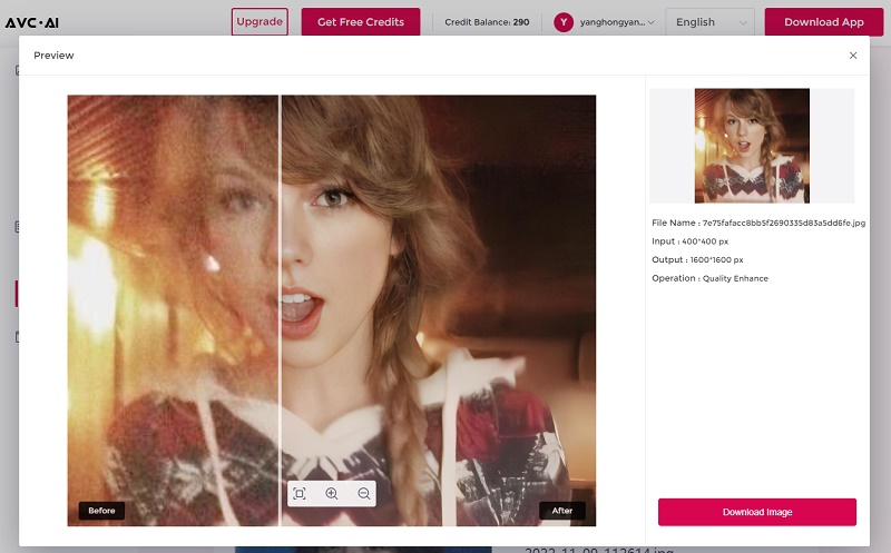 preview and download processed images