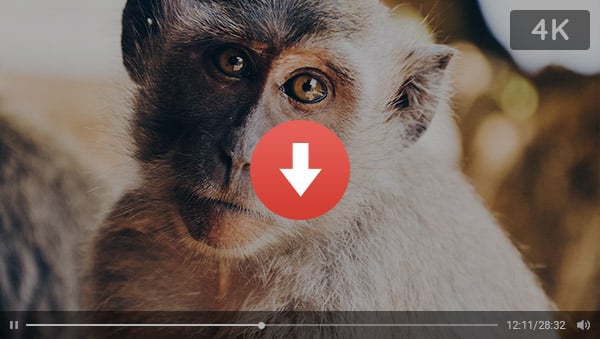 Best Free 4K Video Downloader: How to Download Videos from or Other Sites to 4K