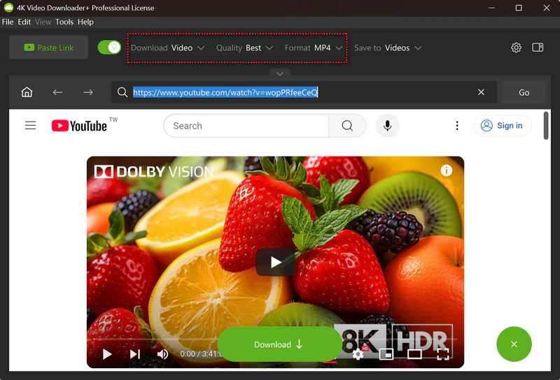 choose mp4 as format on 4k video downloader