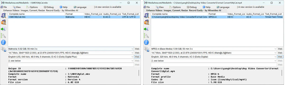 any video converter rewrap mkv to mp4