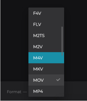 clideo video output format