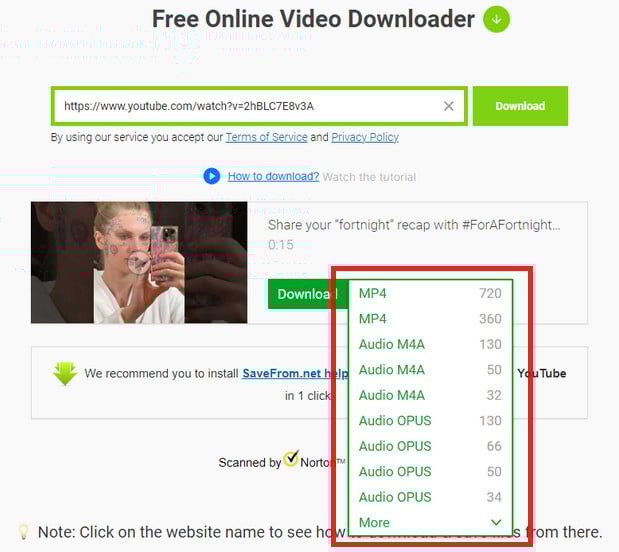 download-youtube video with savefromnet