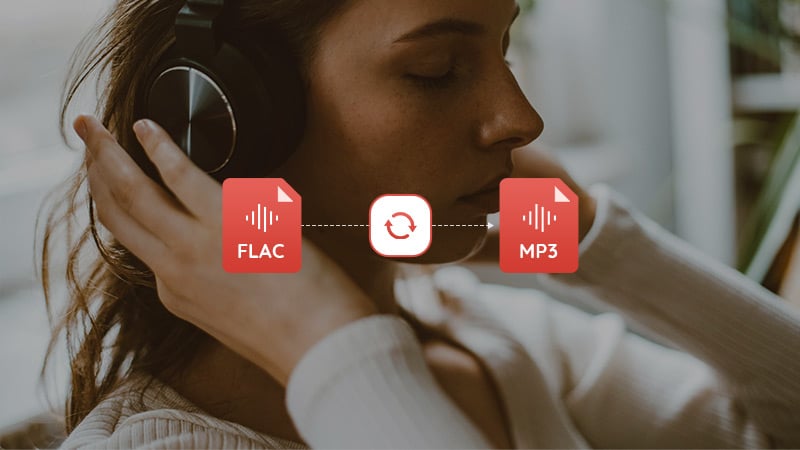 Online pm3 converter hot sale
