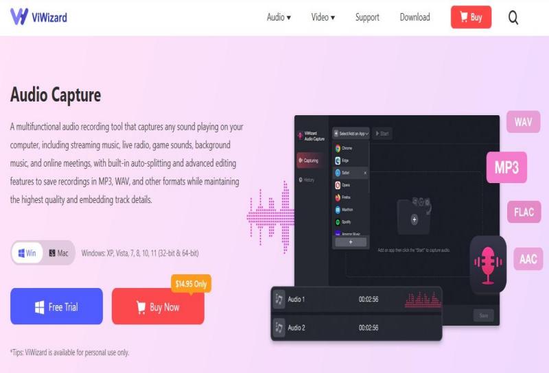 viwizard audio capture