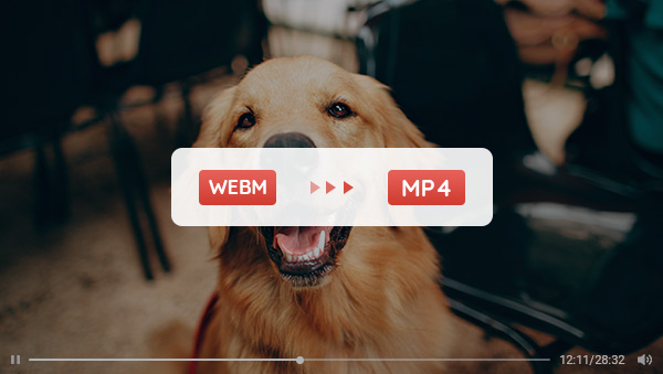 webm to mp4 converter