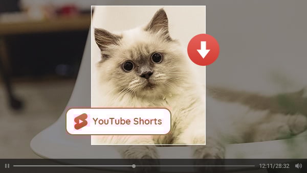 youtube shorts downloader