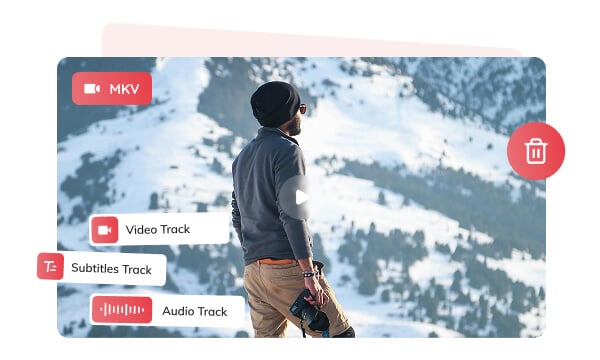 edit mkv tracks before convert to mp4