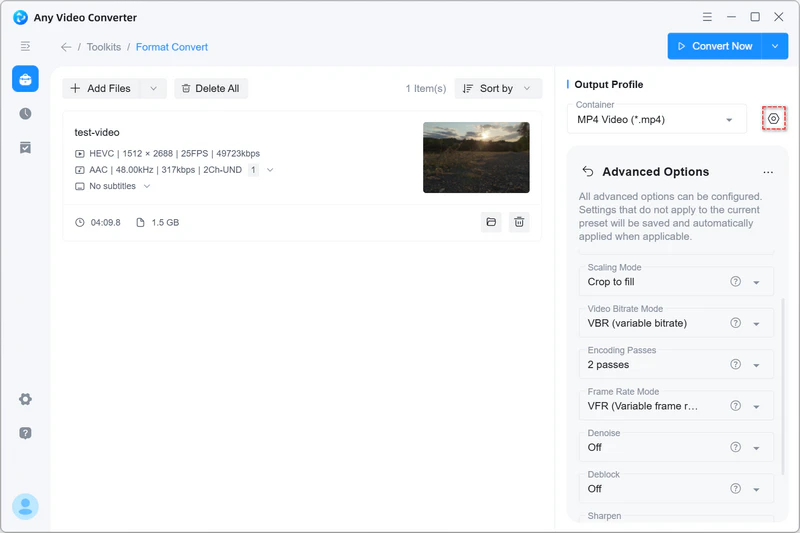 advanced options in any video converter