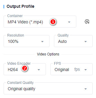 video format