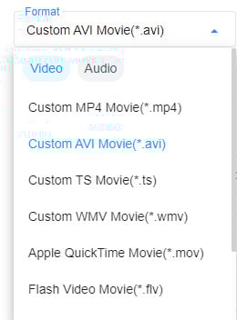video format