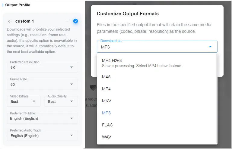 choose audio quality and format