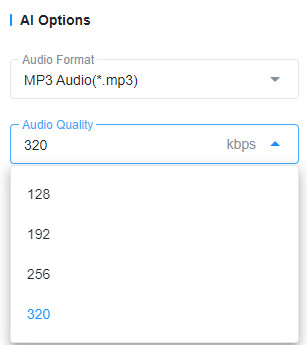 audio bitrate