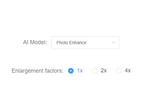 select the enlargement factors