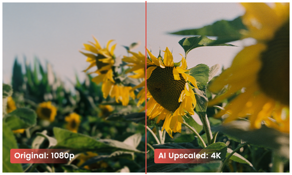 actualizar el vídeo de 1080p a 4k