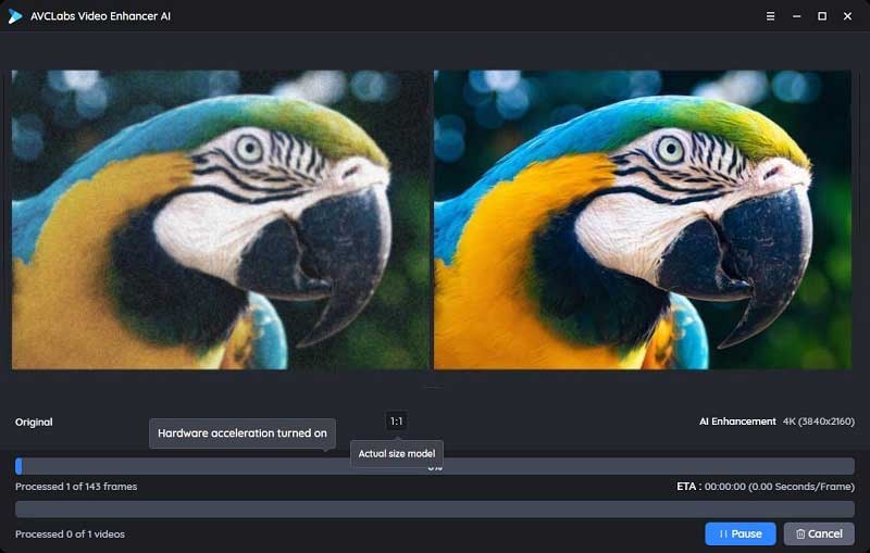 Boost Video and Photo Quality with AI: Avclabs Review