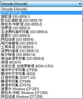 字幕编码